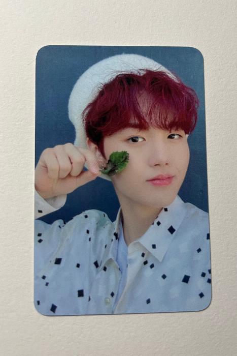 Doyoung Treasure photocard