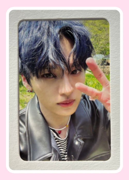 Lee Know Stray Kids Maxident Selfie Photocard
