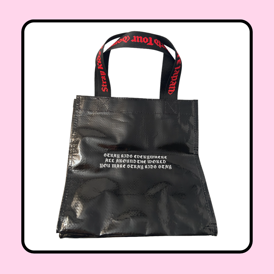 Stray Kids DominATE Dome Tour Japan Lunch Bag