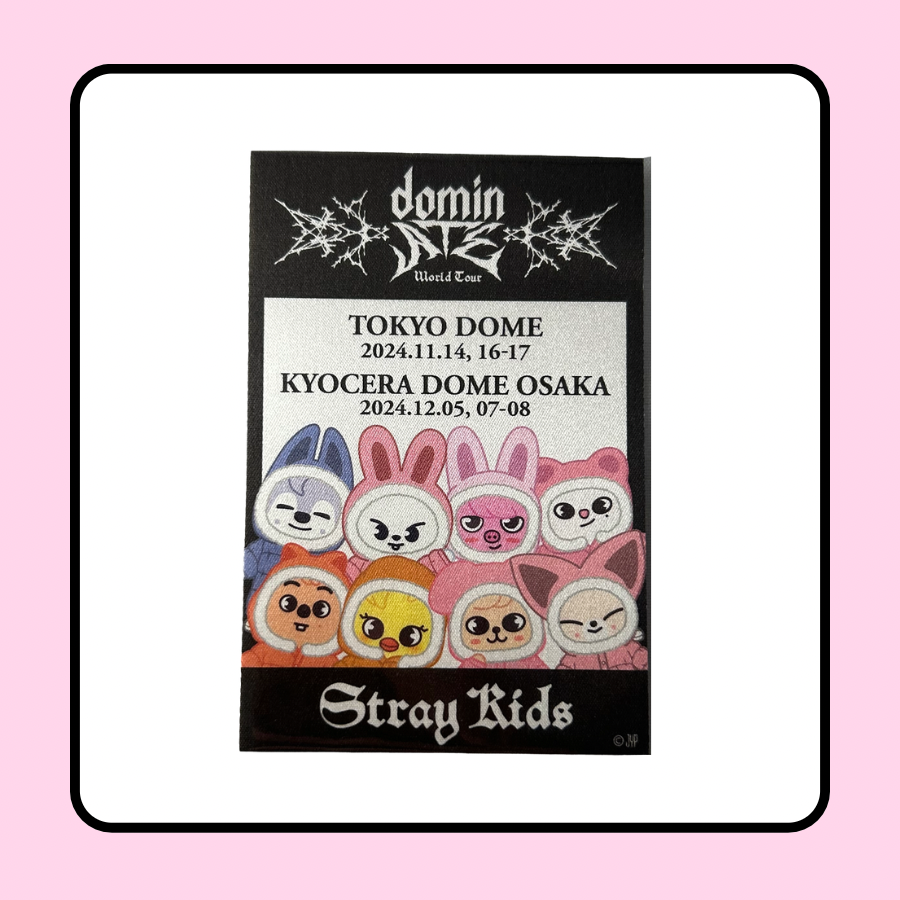 Stray Kids DominATE Dome Tour Japan Skzoo Pass Style Sticker