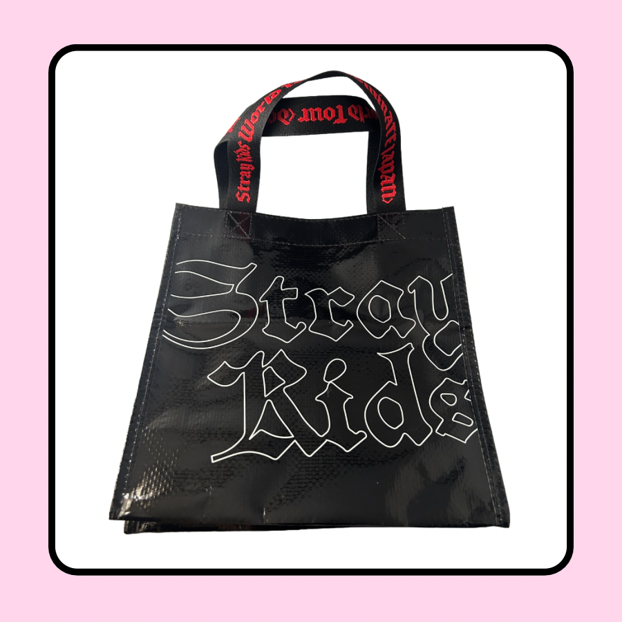 Stray Kids DominATE Dome Tour Japan Lunch Bag