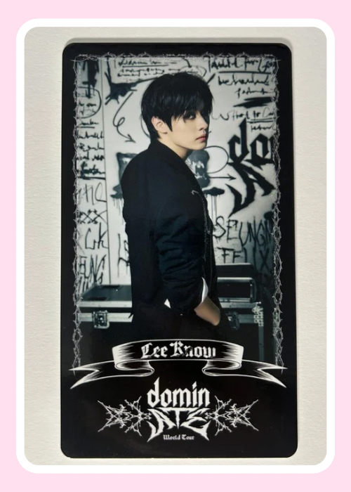 Stray Kids DominATE Trading Card Member Choice