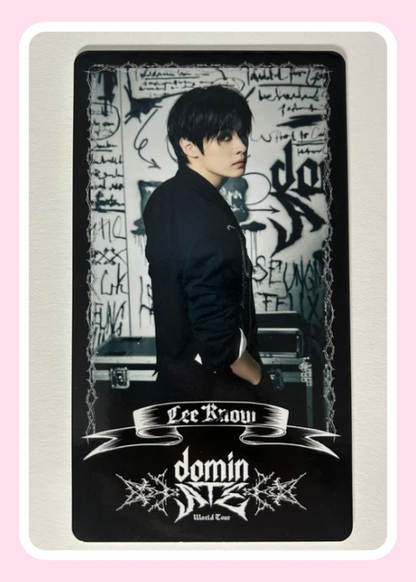 Stray Kids DominATE Trading Card Member Choice