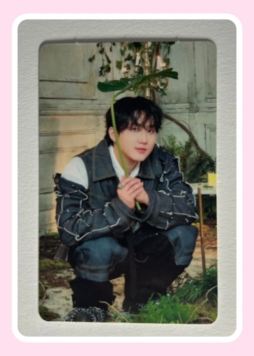 Changbin Stray Kids Hollow Japan Photocard
