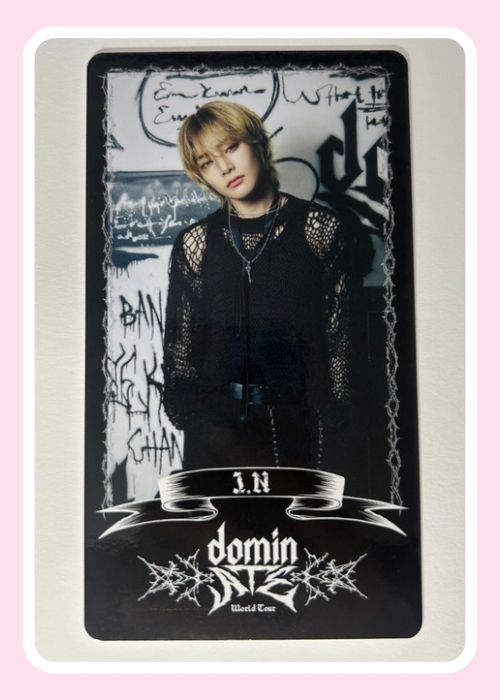 Stray Kids DominATE Trading Card Member Choice