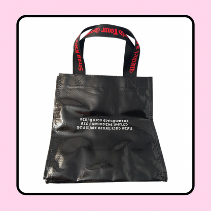 Stray Kids DominATE Dome Tour Japan Lunch Bag