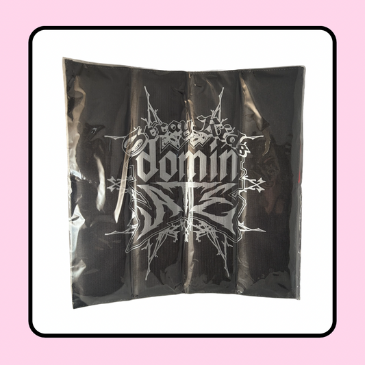 Stray Kids DominATE Dome Tour Japan Seat Cover