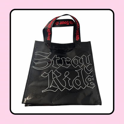 Stray Kids DominATE Dome Tour Japan Lunch Bag