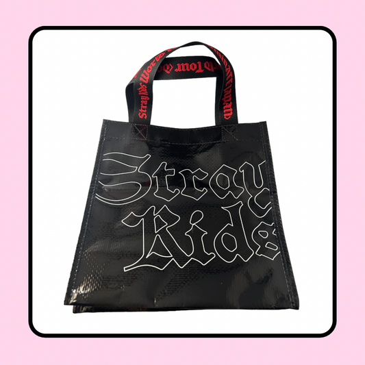 Stray Kids DominATE Dome Tour Japan Lunch Bag